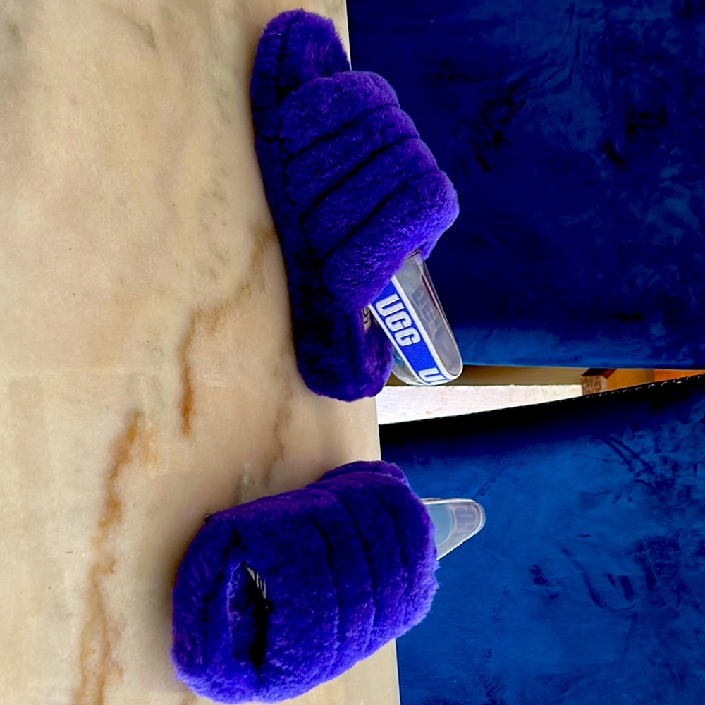 Royal blue UGG slippers